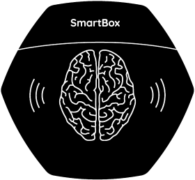 1 SmartBox